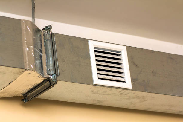 Best Professional Duct Cleaning Services  in Napili Honokowai, HI